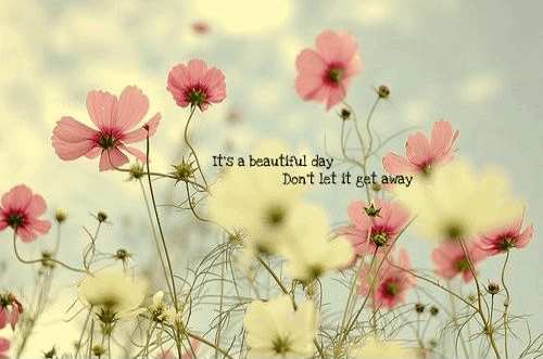 beautiful