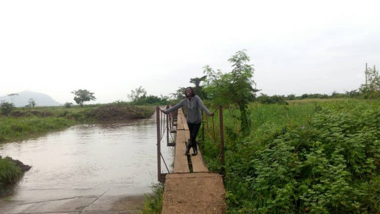 Tales of an NSS teacher: A Date at the rice farms
