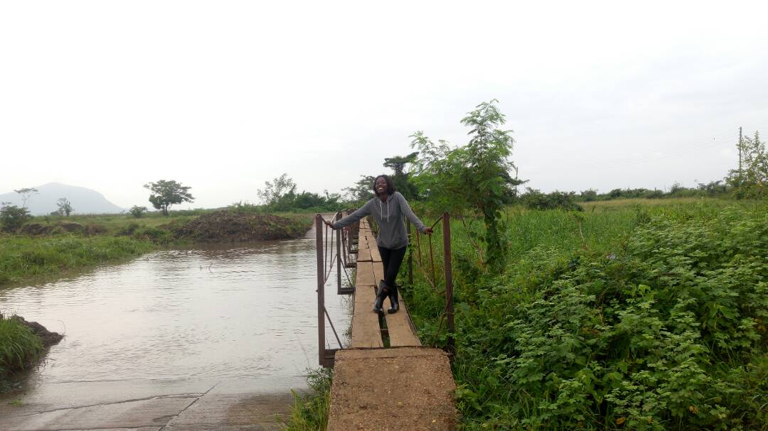 Tales of an NSS teacher: A Date at the rice farms