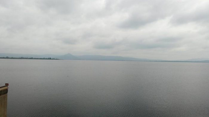 Tales of an NSS teacher: A Date at the rice farms