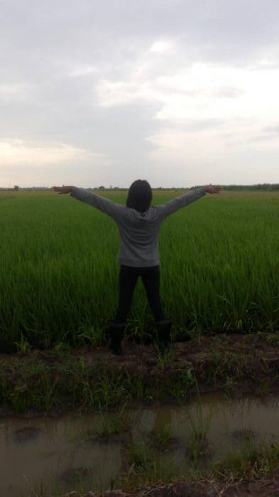 Tales of an NSS teacher: A Date at the rice farms