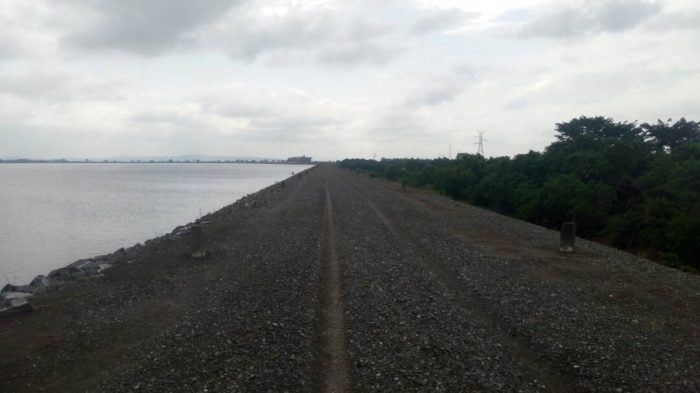 Tales of an NSS teacher: A Date at the rice farms